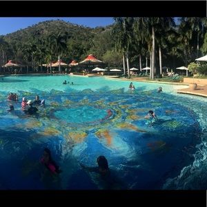 Meet your Posher, Delina